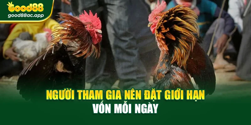 Người tham gia nên đặt giới hạn vốn mỗi ngày