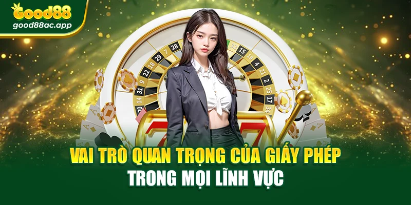 Giấy phép hoạt động 2 Vai trò quan trọng của giấy phép trong mọi lĩnh vực
